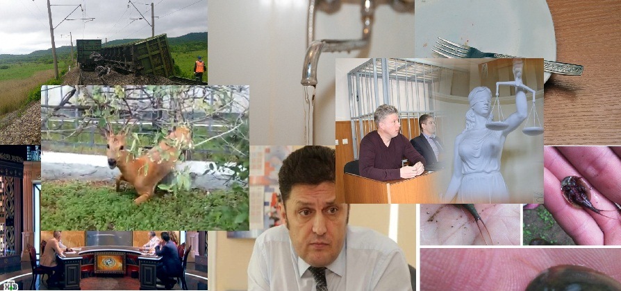 Неделя в ЕАО ИА ЕАОmedia