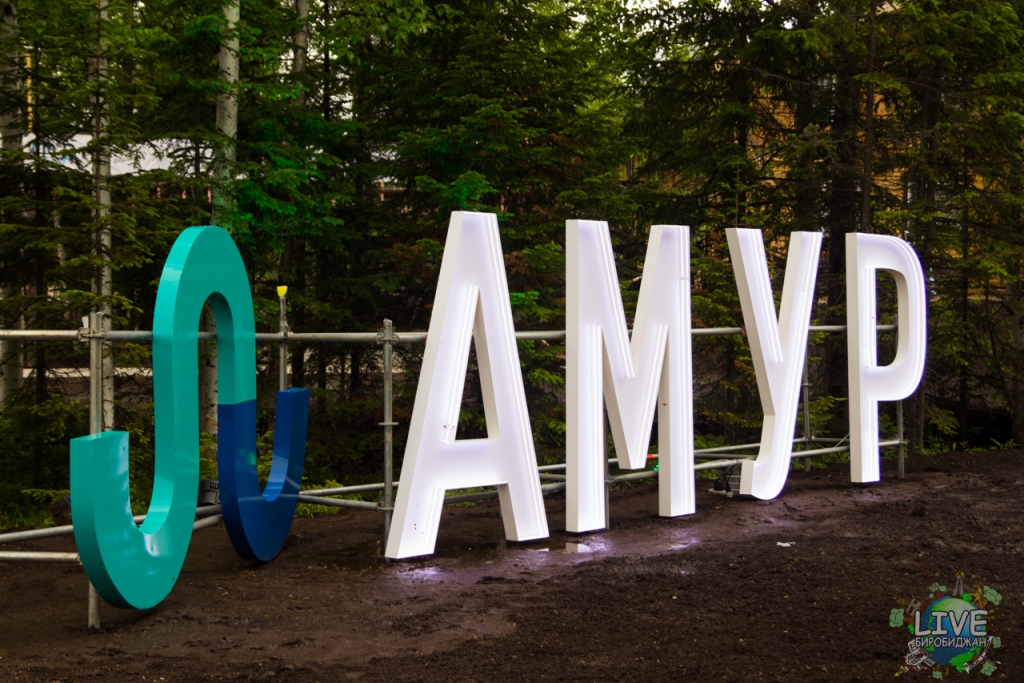 Форум "Амур" стал хорошей экспертной и проектной площадкой — участники