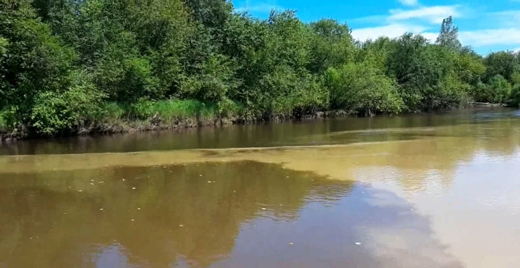 Вода в реке становится мутной