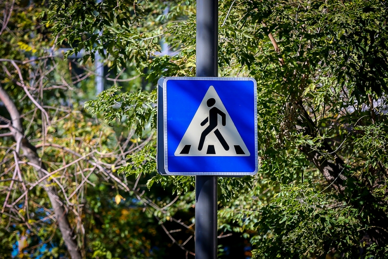 Водитель под кайфом сбил пешехода в Биробиджане Антон Балашов