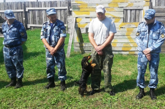 Соревнования "носов и зубов" выявили лучшие кинологические подразделения УФСИН ЕАО