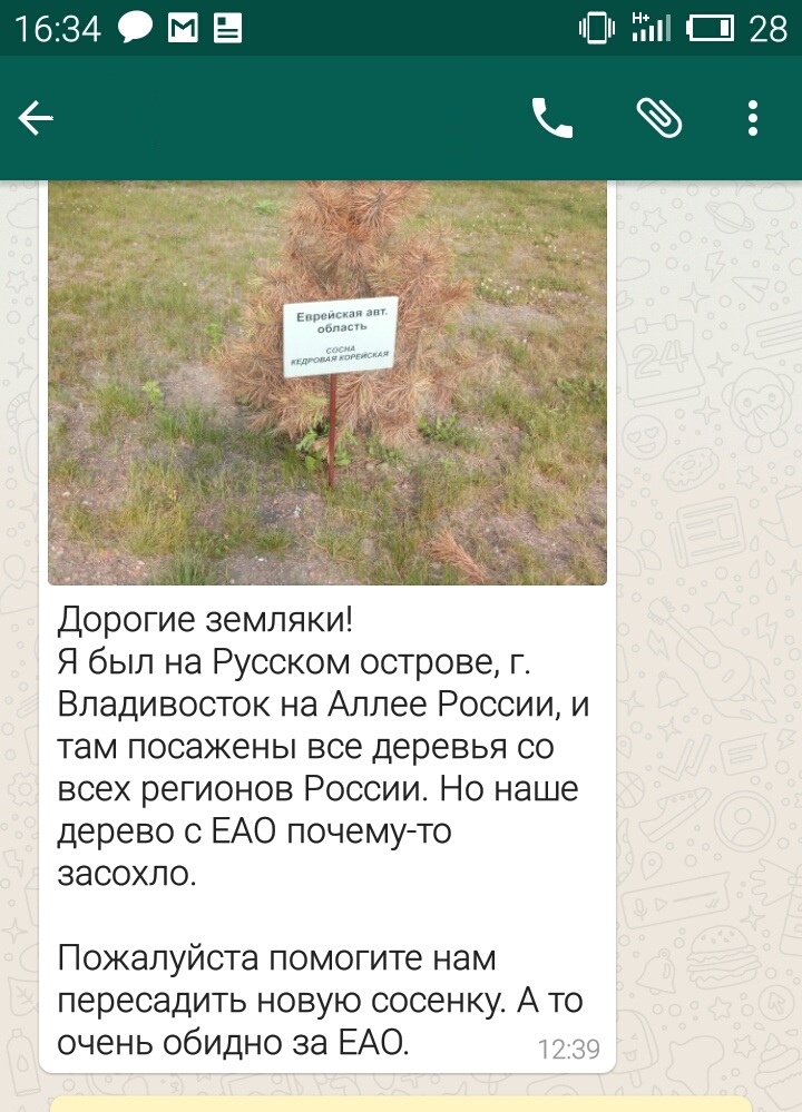 Обращение в мессенджере