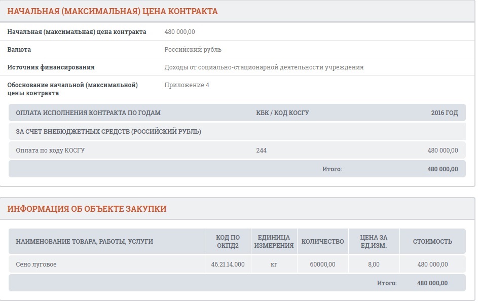 Лот на сайте госзакупок