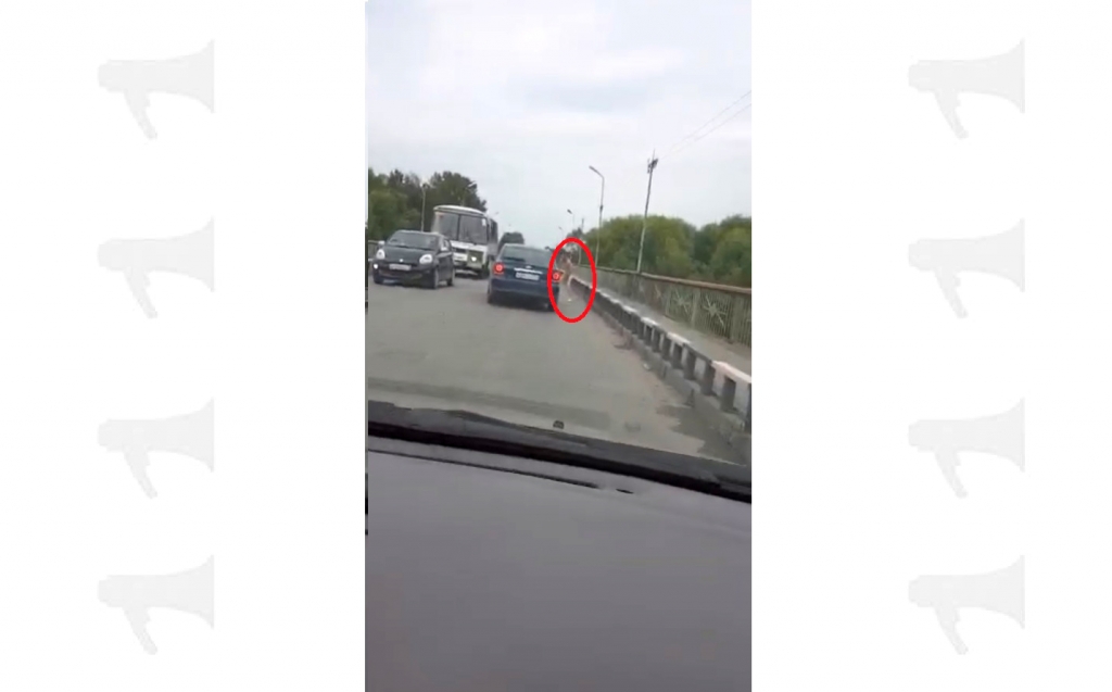 Нудистский Биробиджан: совершенно голый мужчина "создал пробку" на старом мосту через Биру