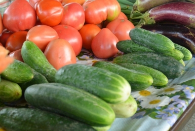 ЕАО может сама обеспечивать себя необходимой сельхозпродукцией