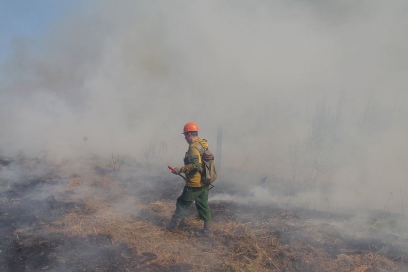 Крупный природный пожар в труднодоступной болотистой местности локализован в ЕАО