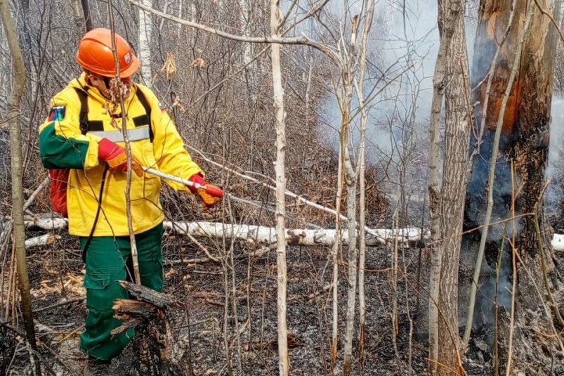 Крупный лесной пожар ликвидирован в Биробиджанском лесничестве 
