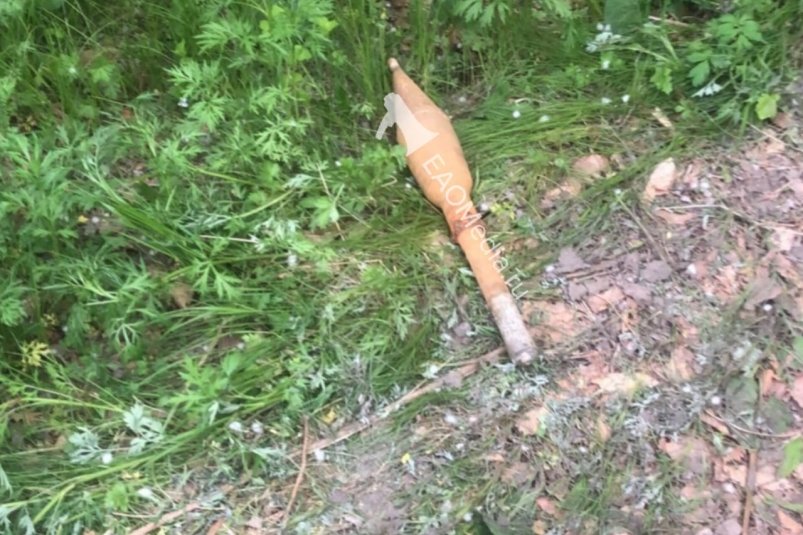 Боевой снаряд к гранатомету обнаружили рядом с селом Кукелево ЕАО
