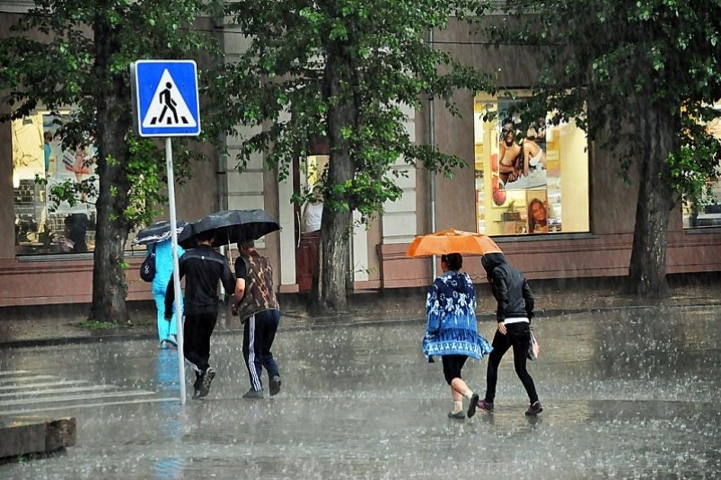Дожди и грозы принес в ЕАО циклон: прогноз погоды на ближайшие дни