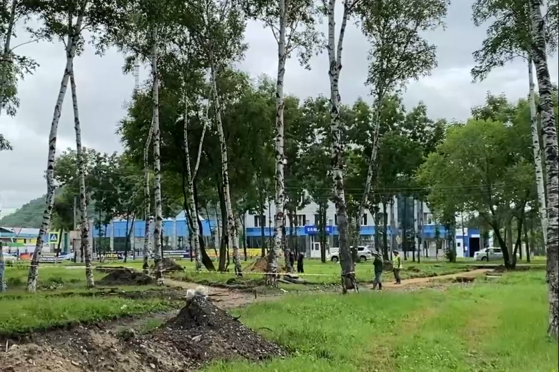 Под контролем столичных дизайнеров кронируют деревья и кустарники в Биробиджане