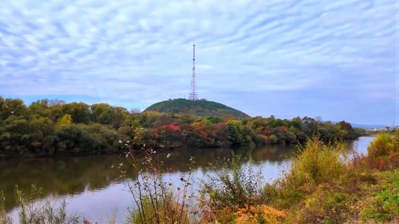 Осадков будет мало: сухая и ветреная погода может ухудшить пожароопасную ситуацию в ЕАО