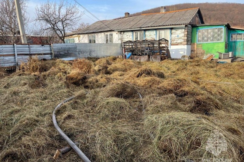 Подожгла сено 8-летняя девочка и чуть не оставила без дома многодетную семью в ЕАО