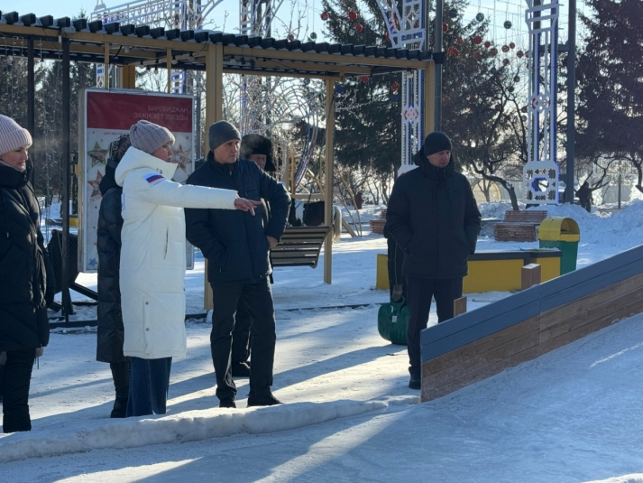 Устранить недочеты в подготовке Биробиджана к Новому году поручила врио губернатора ЕАО