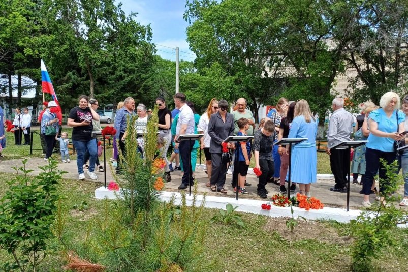Аллею памяти