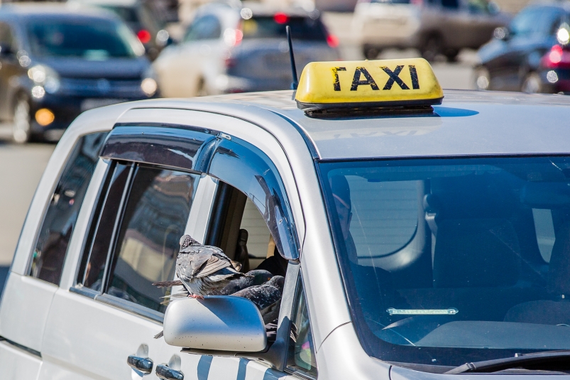 Рост цен на такси в непогоду предложили ограничить