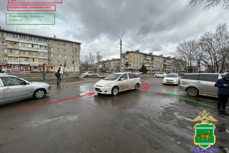 В Биробиджане водитель иномарки сдавал назад и сбил пенсионерку 