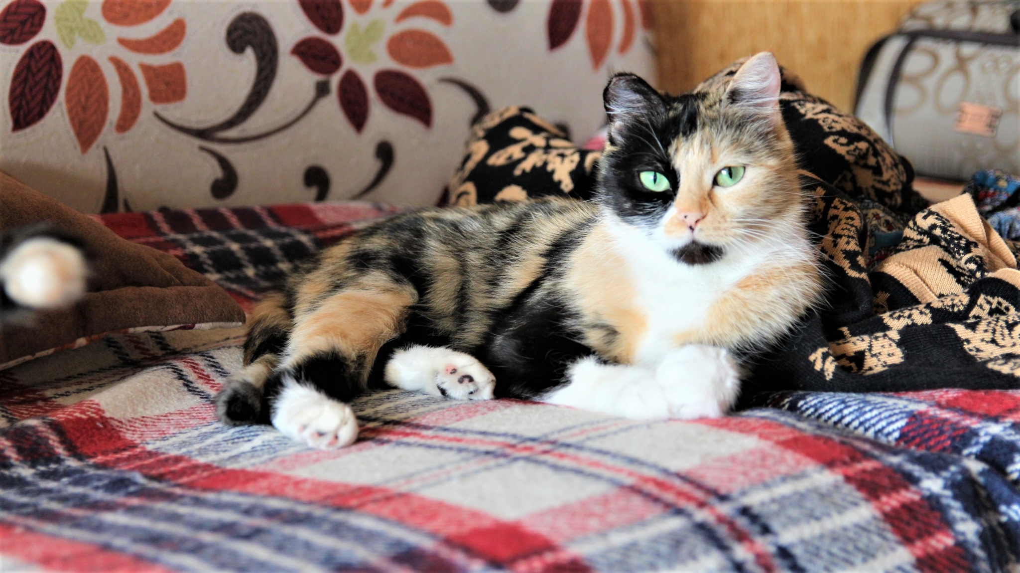 Тематическое фото ИА EAOMedia