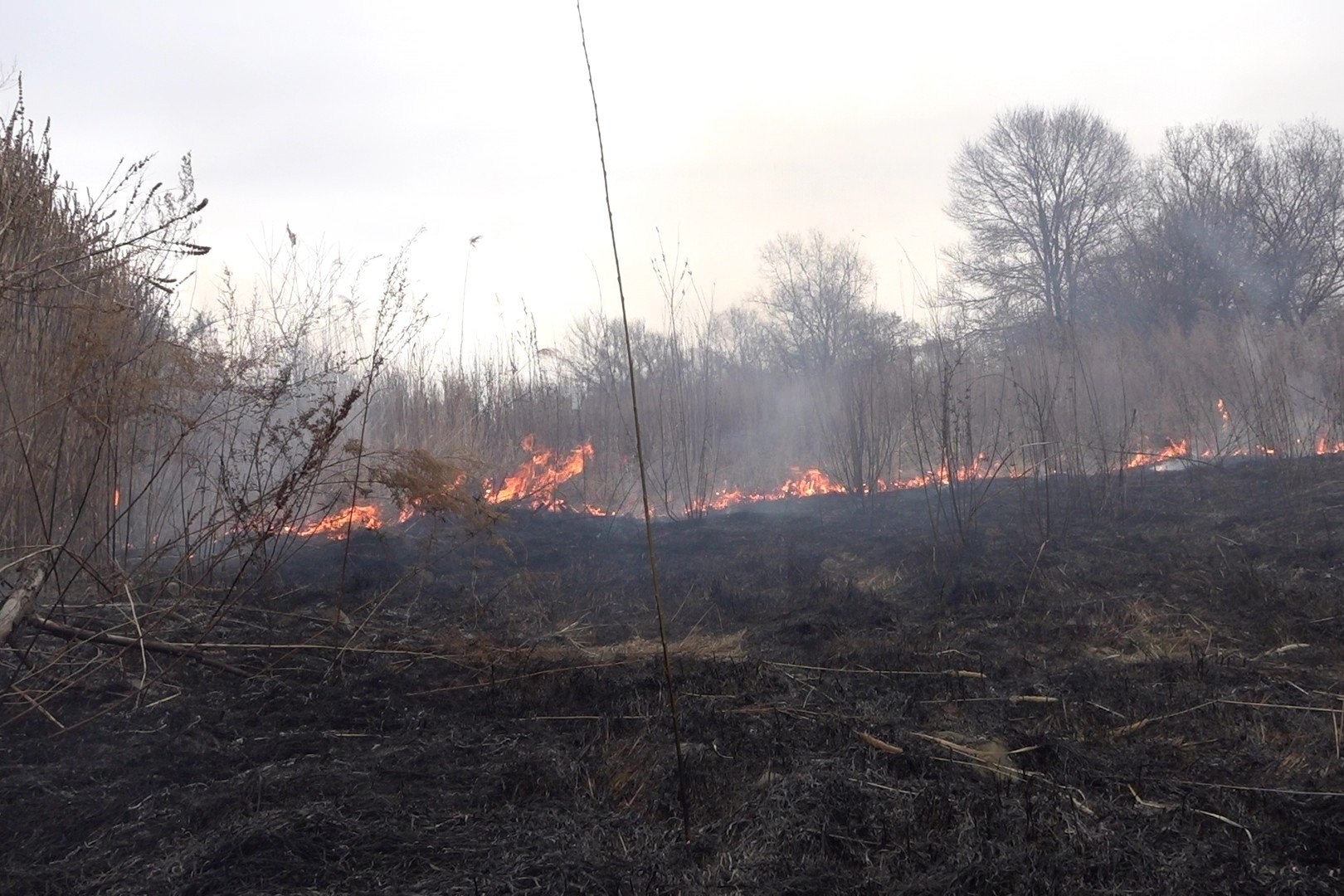 Тематическое фото правительство ЕАО