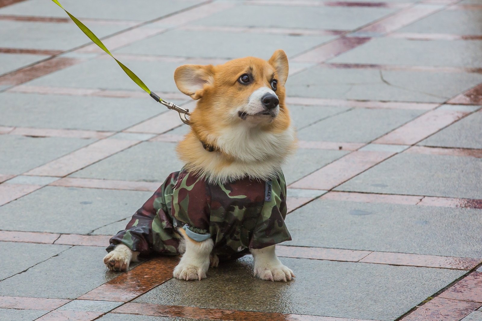 Тематическое фото ИА PrimaMedia (18+)