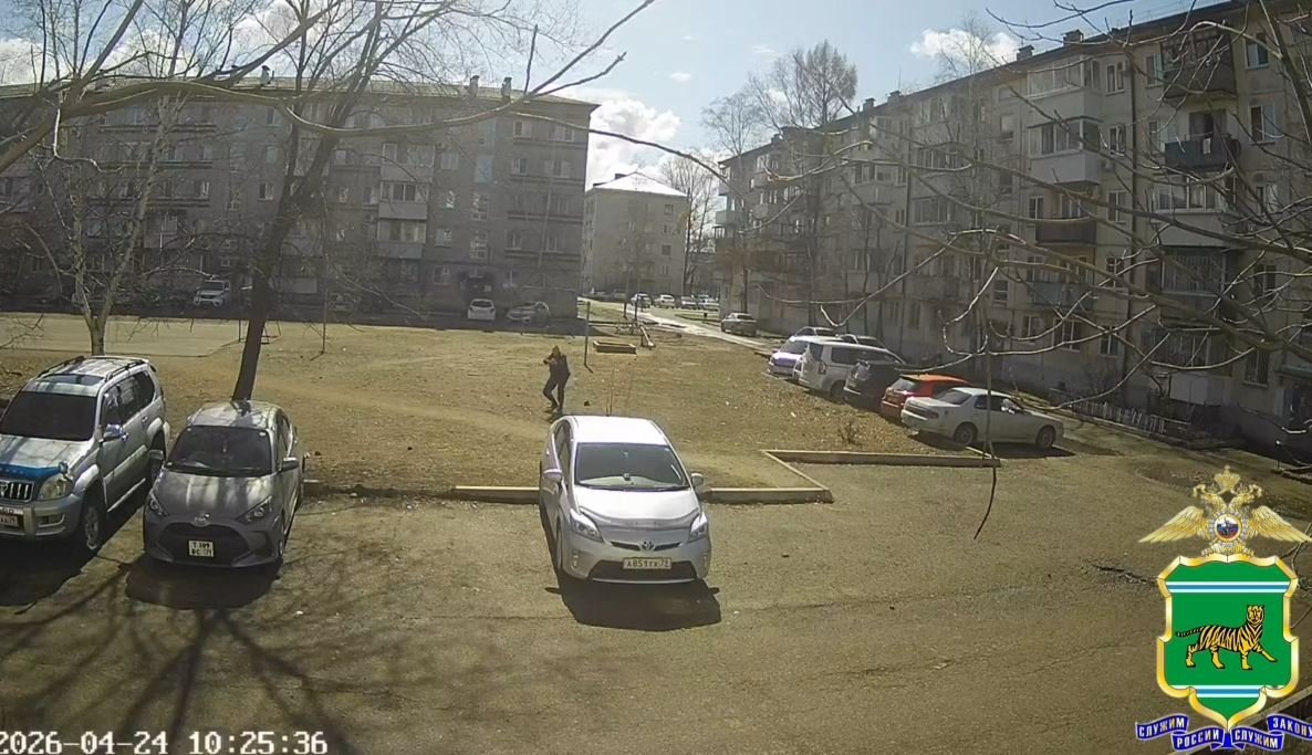 скриншот видео УМВД РФ по ЕАО