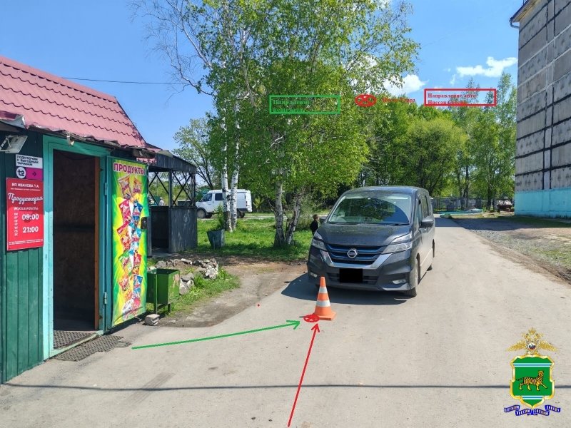 Сдавал назад и сбил пенсионерку водитель иномарки в п. Волочаевка-2 ЕАО
