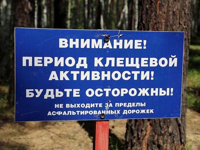 тематическое фото ИА ЕАОMedia