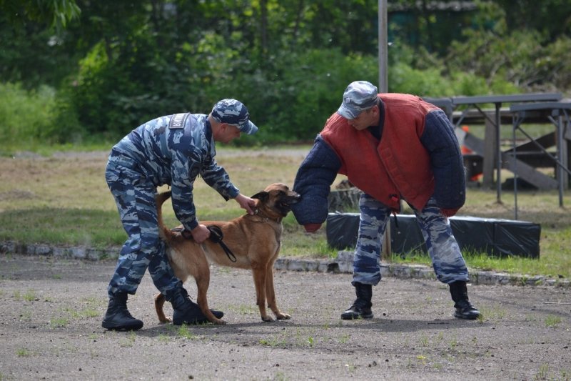 Тематическое фото УМВД России по ЕАО