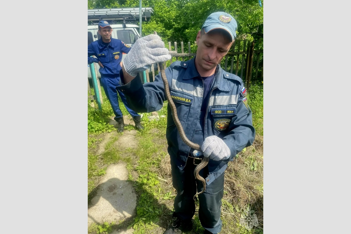 тематическое фото МЧС ЕАО