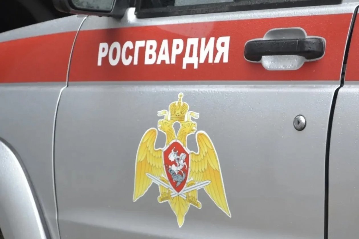 Тематическое фото Росгвардия ЕАО