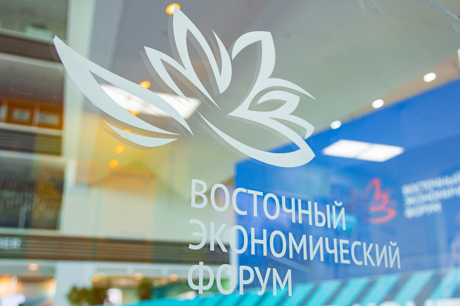 ВЭФ ИА PrimaMedia.ru