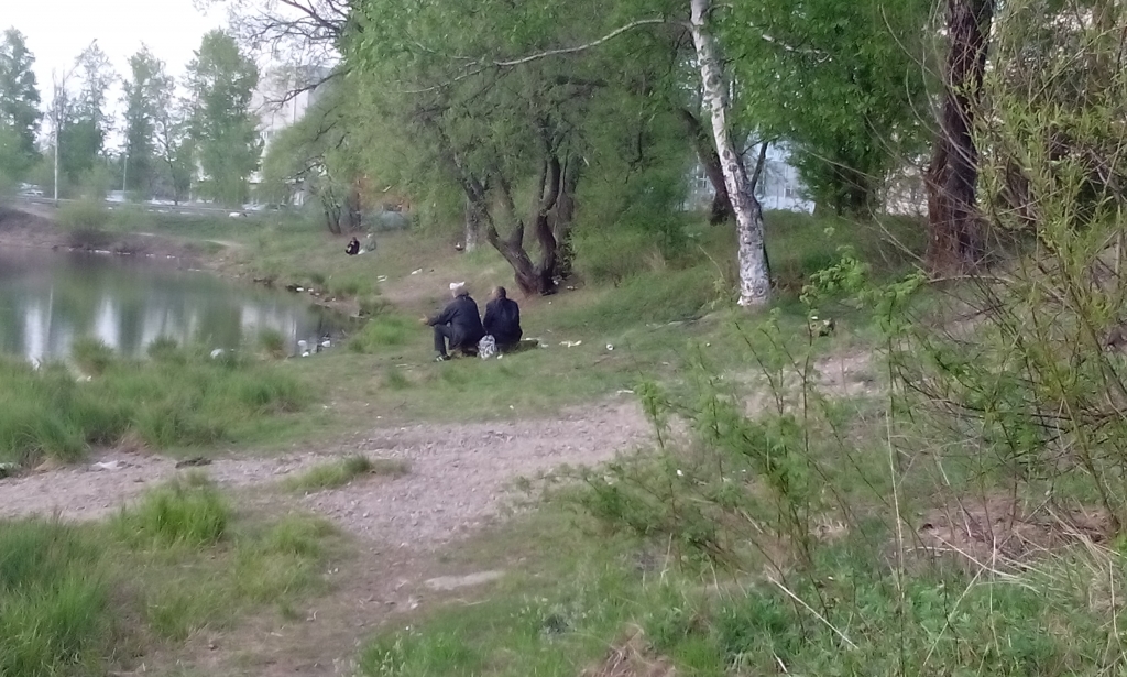 Фото дня