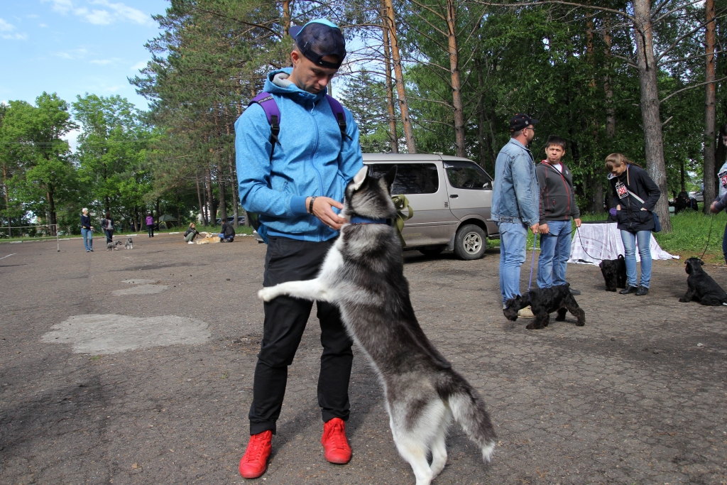 Фото дня