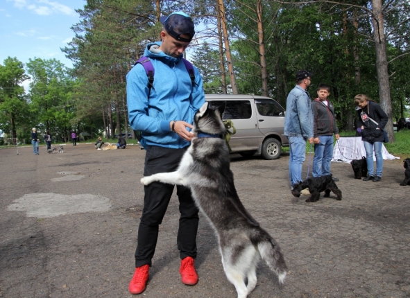 Фото дня